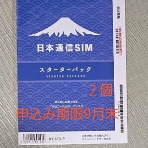 日本通信SIM スターターパック NT-ST2-P 2個 申込み期限9月末 2個