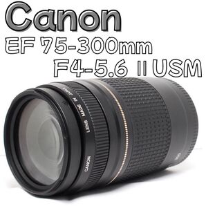 スポーツ撮影に最適!Canon 75-300mm F4-5.6 Ⅱ USM 望遠