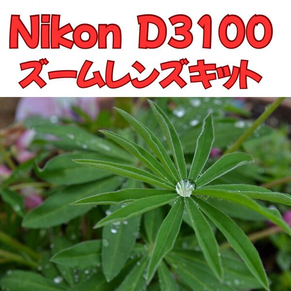 初心者おすすめ◎赤色Nikon D3100+VRレンズ・説明書・バッグ付