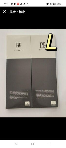 正規品 Pitsole 新品ピットソールインソール 2足
