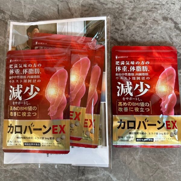 カロバーンEX 30日分×4袋