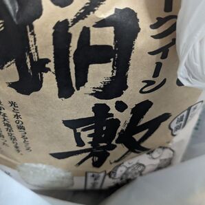 ミルキークイーン 5kg 白米