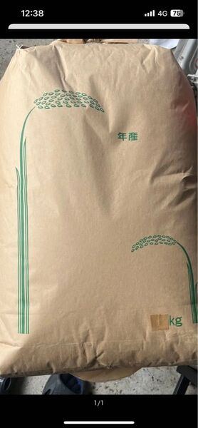 令和6年産ヒノヒカリ玄米 10kg 米用冷蔵庫保管