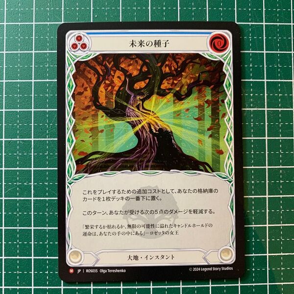 flesh and blood fab フレッシュアンドブランド 未来の種子 ノンホイル