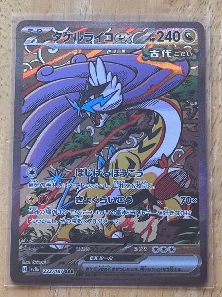ポケモンカードゲーム テラスタルフェスex SAR タケルライコex
