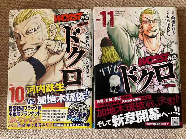 WORST外伝 ドクロ 10巻&11巻 2冊セット