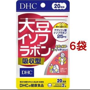 DHC 大豆イソフラボン 吸収型 20日分 6袋 サプリメント