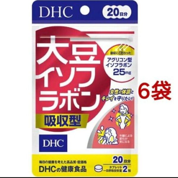 DHC 大豆イソフラボン 吸収型 20日分 6袋 サプリメント