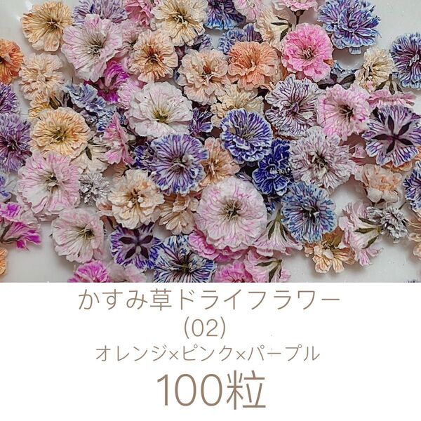 (02)かすみ草ドライフラワー100粒