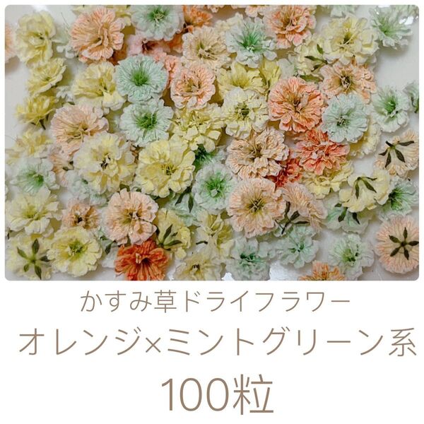 オレンジ×ミントグリーン系 かすみ草ドライフラワー100粒