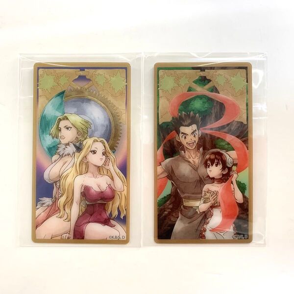 Dr.STONE タロット クリアカード ニッキー 北東西 南 大木 大樹 小川 杠 アニメジャパン ドクターストーン ドクスト