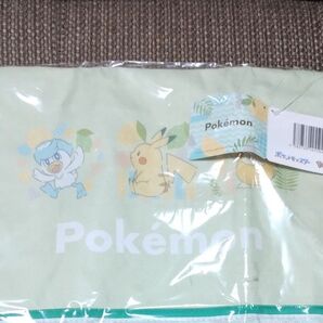 ポケットモンスター窓付き収納BOX