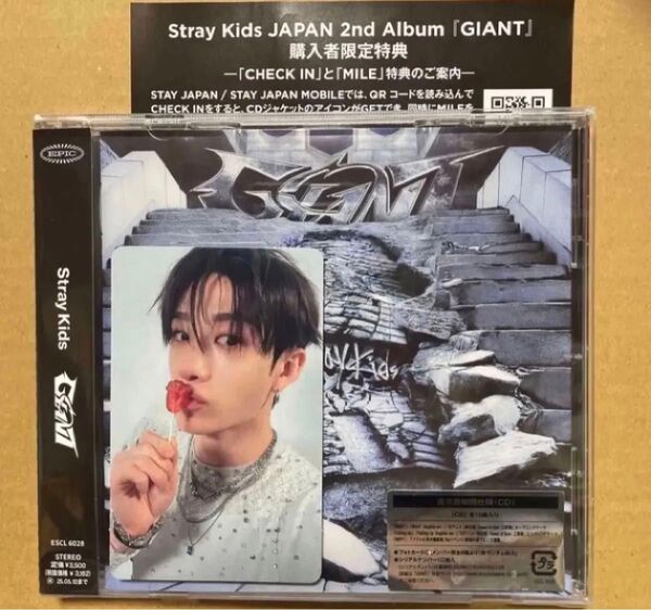 Stray Kids GIANT通常盤 トレカ バンチャン