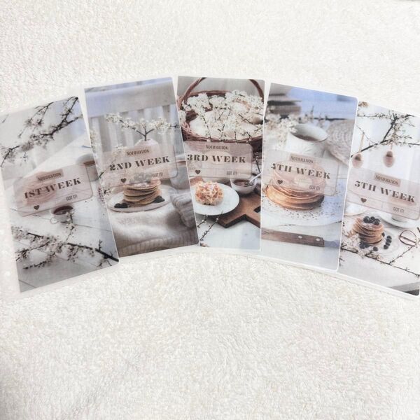 tea time A6 saving リフィルバインダー貯金韓国