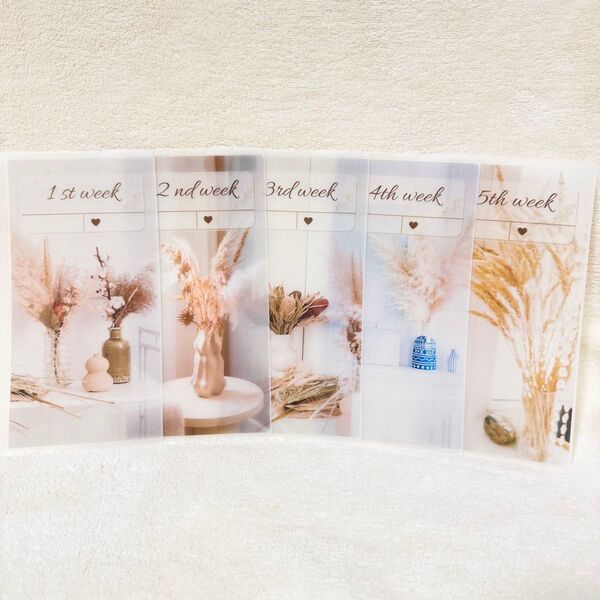 シンプル⑤flower weeklyタイプA6 saving リフィルバインダー貯金韓国
