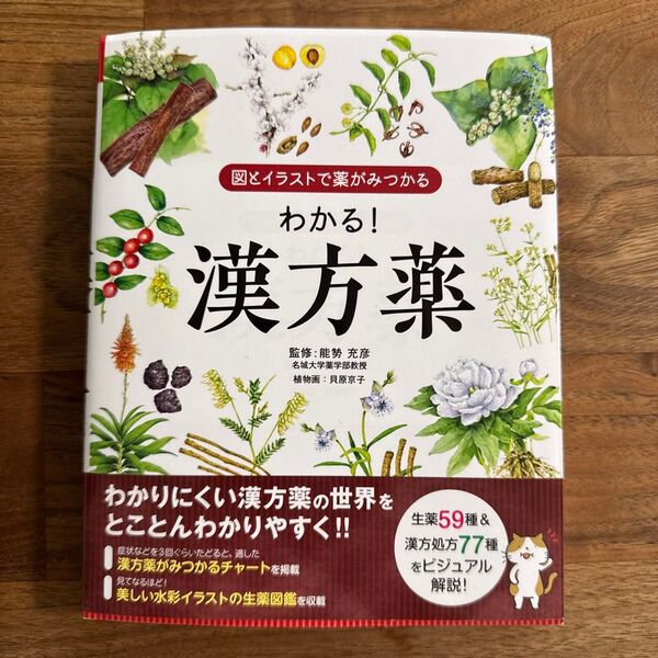 わかる!漢方薬 図とイラストで薬がみつかる 能勢充彦/監修 ユーキャン漢方処方薬研究会/編著