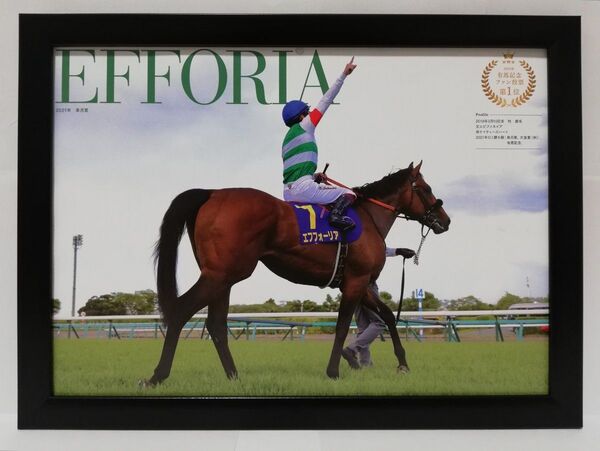 競馬.エフフォーリアー.パネル.愛すべきスターホースたち