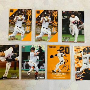 プロ野球チップス 巨人