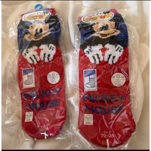 ディズニーリゾートの靴下2足セット!