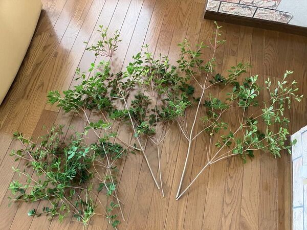 ドウダンツツ 切り枝 約80cm