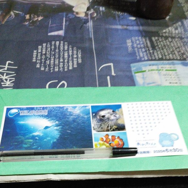 新江ノ島水族館 入場招待券
