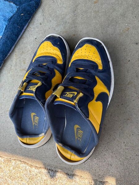 NIKE スニーカースリッポン