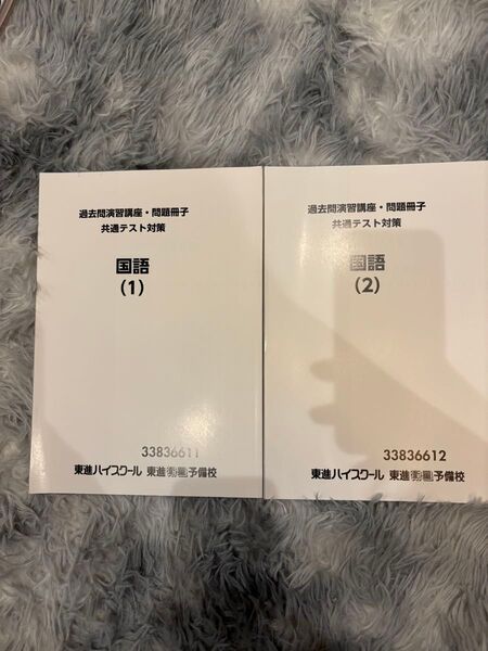 東進ハイスクール 東進衛星予備校 過去問演習講座 国語 共通テスト対策 問題冊子 2冊セット