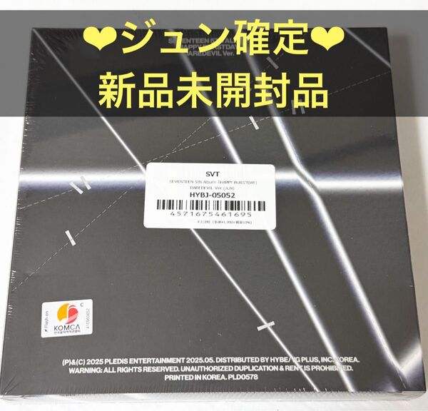 SEVENTEEN HAPPY BURSTDAY DAREDEVIL Ver. 新品未開封品 ジュン トレカ バインダー