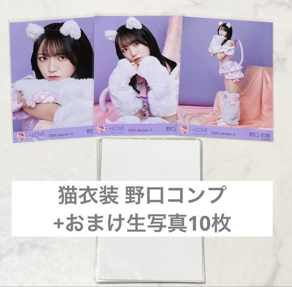 イコラブ =LOVE 野口衣織 7周年衣装 猫 生写真 コンプ