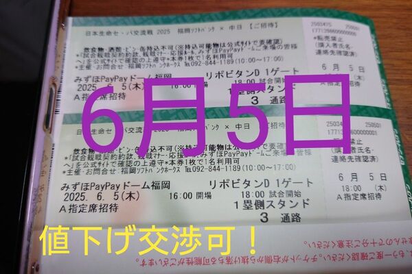 ホークス戦 6月5日 中日ドラゴンズ戦 ペアチケット