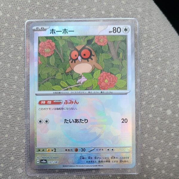 ポケモンカード テラスタルフェスex ホーホー