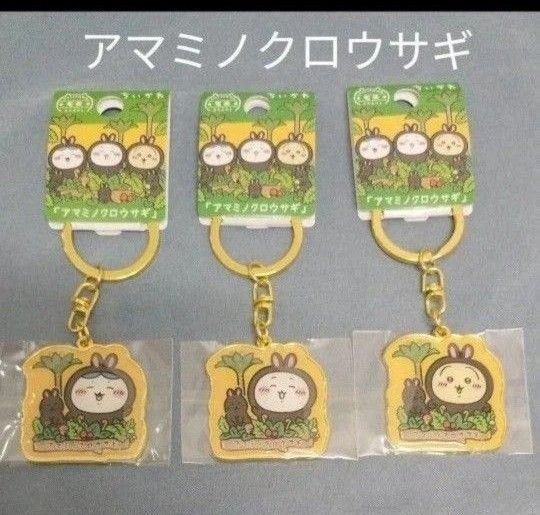 ご当地キーホルダー 鹿児島 奄美限定 アマミノクロウサギ ちいかわ ハチワレ うさぎ 3個セット バラ売り価格相談不可