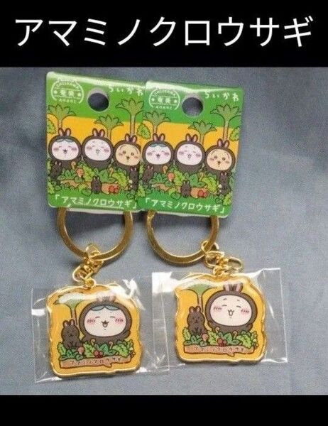 新商品 ご当地ちいかわダイカットキーホルダー 鹿児島 奄美限定 アマミノクロウサギ ちいかわ ハチワレ 1個ずつ 2個セット
