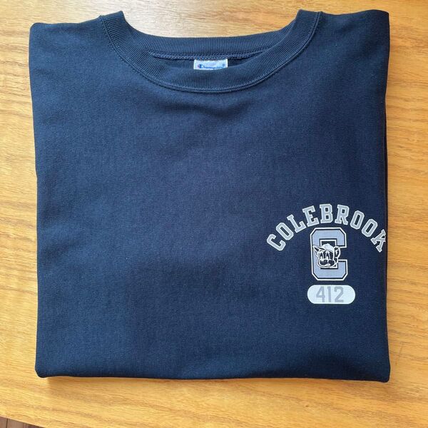 championリバースウィーブTシャツ