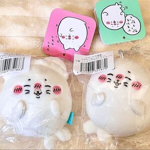 ナガノ アザラシくじ D賞 ねこ ノーマル