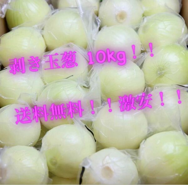 玉葱 剥き玉葱 L 真空パック 10kg 玉ねぎ タマネギ お買い得 新鮮 玉ねぎ 玉葱 終了間近