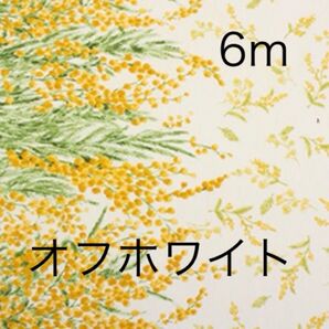 momen-t モーメント ミモザ オフホワイト アイボリー 白 6m