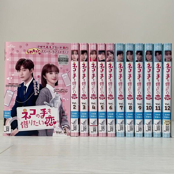 中国ドラマ ネコの手も借りたい恋 DVD 全巻セット 全12巻