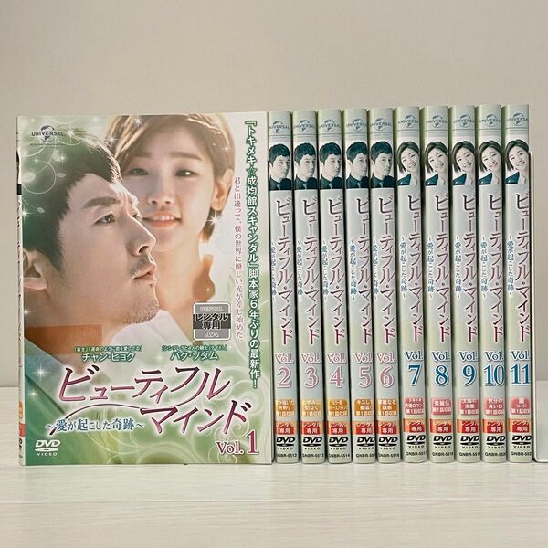 ビューティフルマインド 愛が起こした奇跡DVD 全巻セット 全11巻 チャン・ヒョク