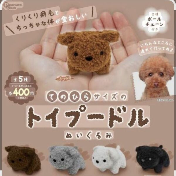 てのひらサイズのトイプードル ぬいぐるみ コンプリート 5種セット ガチャ