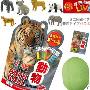 バスボール 6個セット 学研図鑑 LIVE