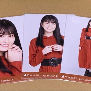大園桃子 ウエストベルト 生写真 コンプ 乃木坂46