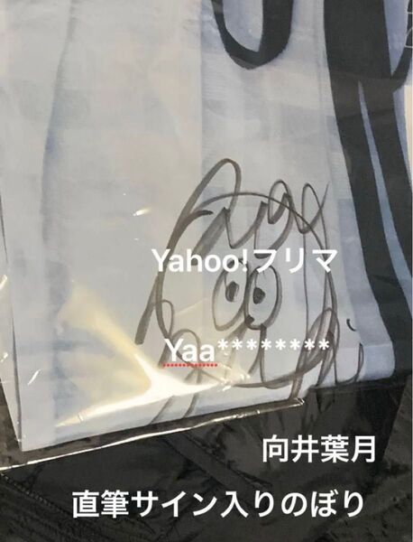 向井葉月 直筆サイン入りのぼり 証明書あり 乃木坂46