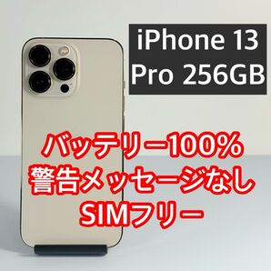 純正バッテリー100% iPhone 13 Pro 256GB 警告メッセージなし 新品ケース/フィルム付き