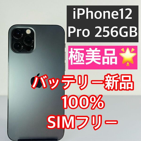 極美品 iPhone12 Pro 256GB グラファイト バッテリー新品100% スマホケース/ガラスフィルム2枚付き
