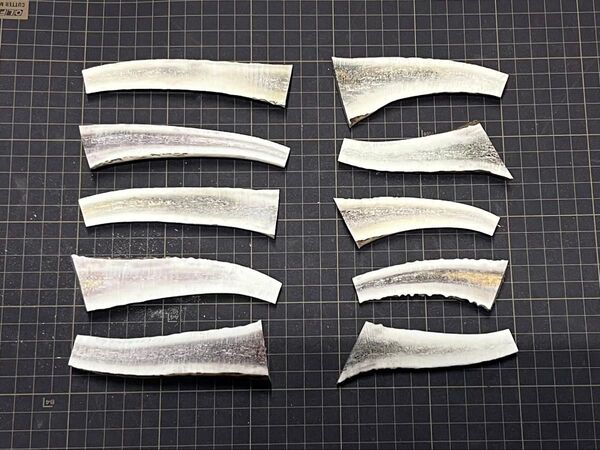 2025-025 半割10本☆蝦夷鹿☆鹿角☆鹿ノ角☆鹿の角☆シカ☆エゾシカ☆犬のおもちゃ