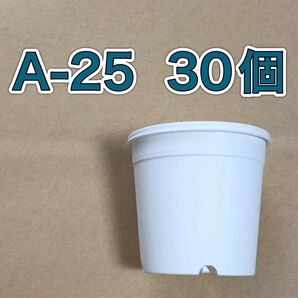 《A-25》 白 30個 プラ鉢 植木鉢 スリット鉢 多肉植物