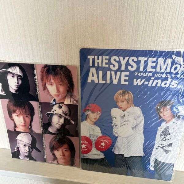 w-inds. 下敷き セット