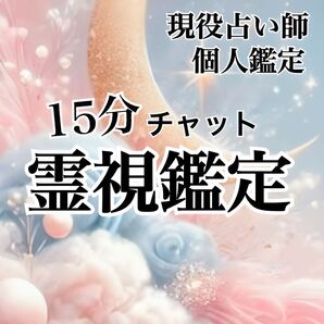 霊視鑑定 15分 チャネリング 悩み相談 恋愛 仕事