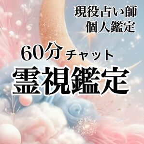60分 霊視鑑定 チャネリング 悩み相談 恋愛 金運 仕事